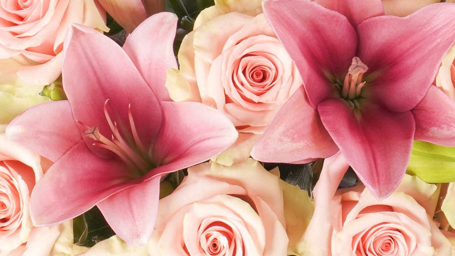 Roses & Lilies
