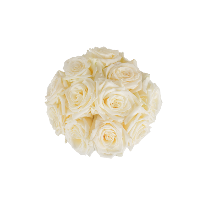 White Classic Roses - 12 Stems