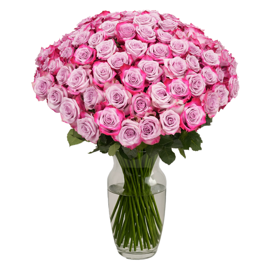 Lavender Roses - 100 Stems