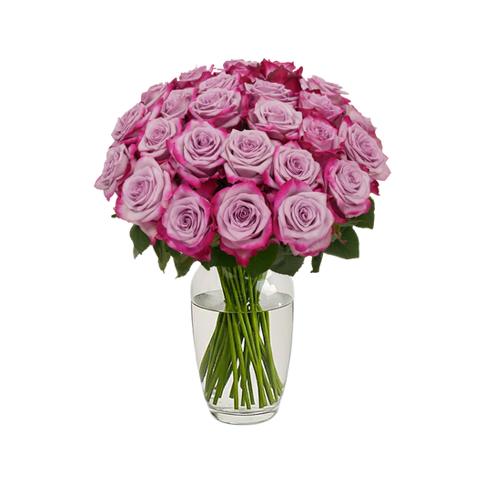 Lavender Roses - 24 Stems
