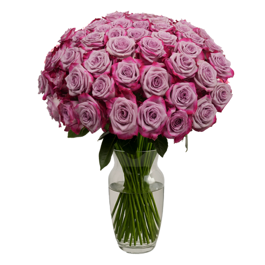 Lavender Roses - 50 Stems