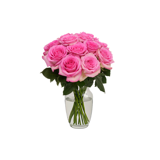 Pink Roses - 12 Stems
