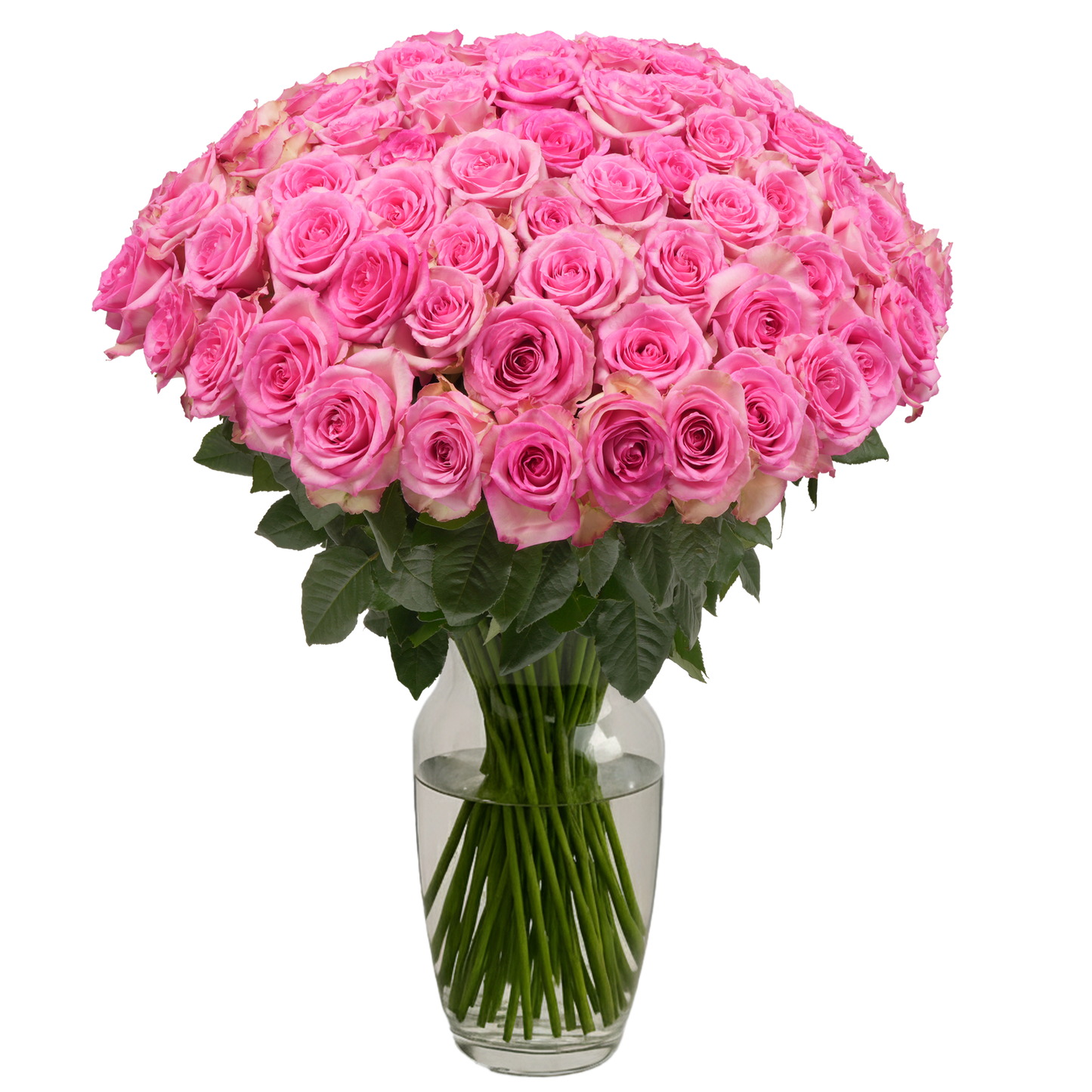 Pink Roses - 100 Stems