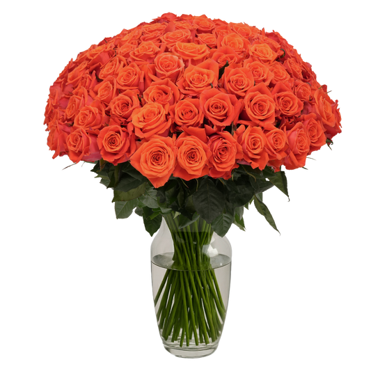 Orange Roses - 100 Stems