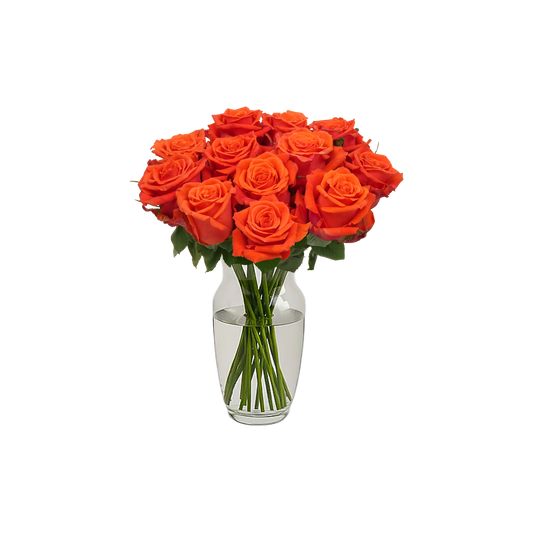 Orange Roses - 12 Stems