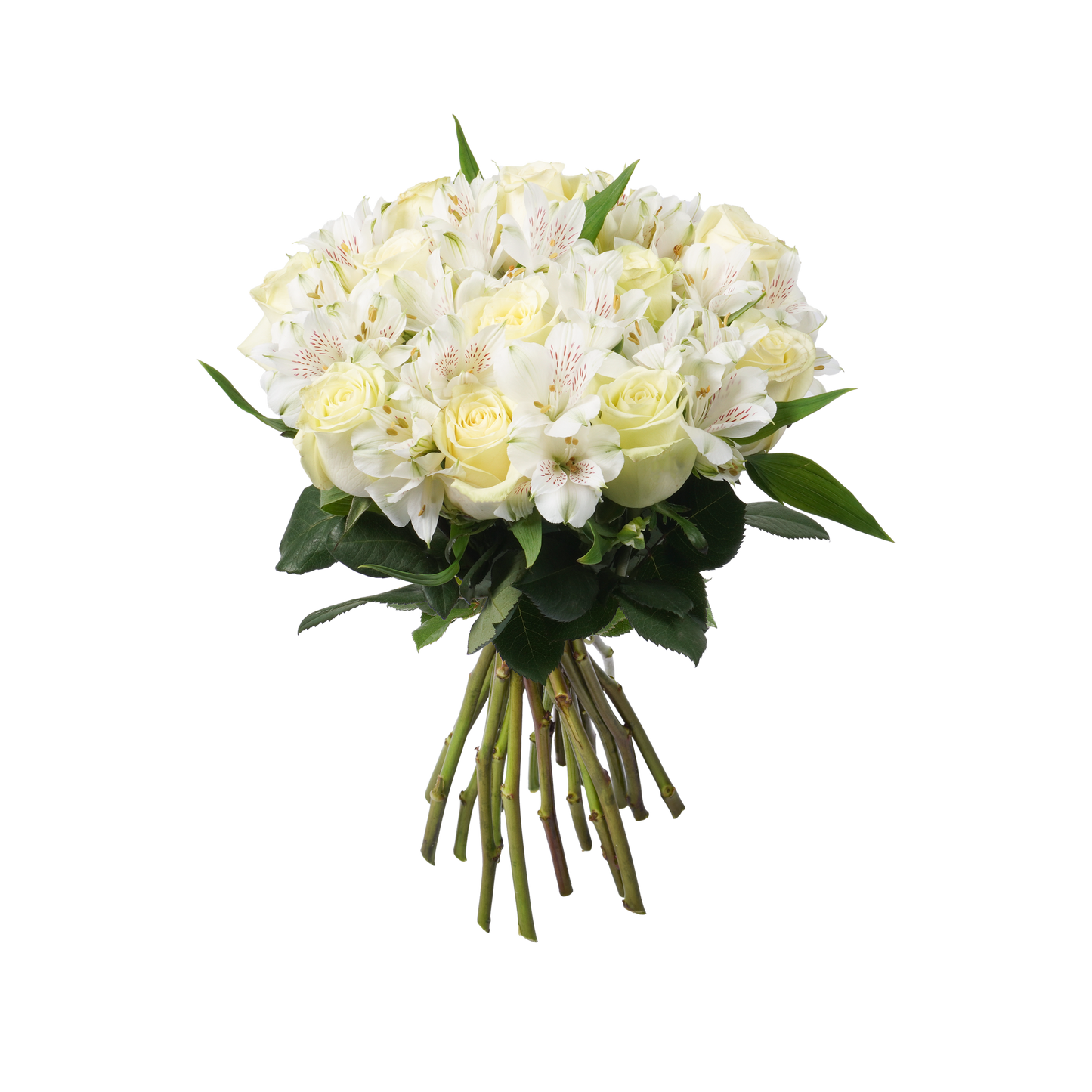 White Roses & Alstroemeria
