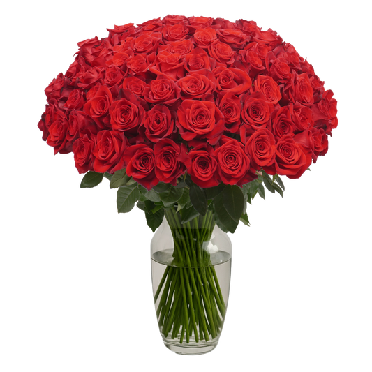 Red Roses - 100 Stems