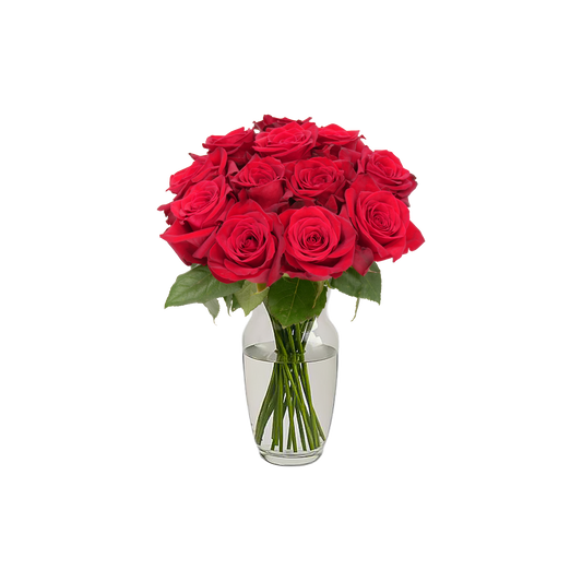 Red Roses - 12 Stems
