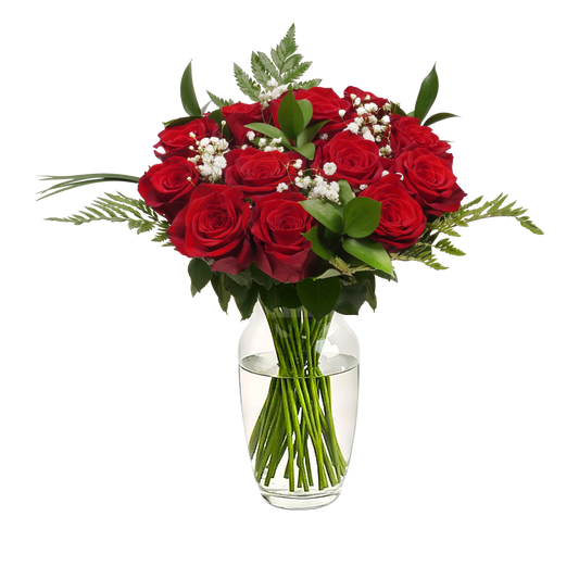 Red Roses & Gypsophila