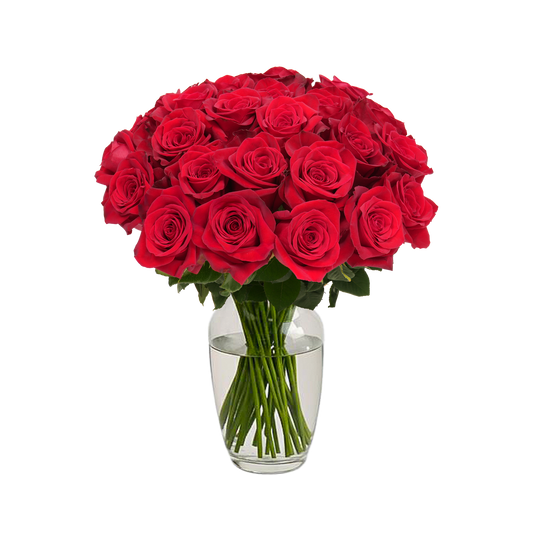 Red Roses - 24 Stems