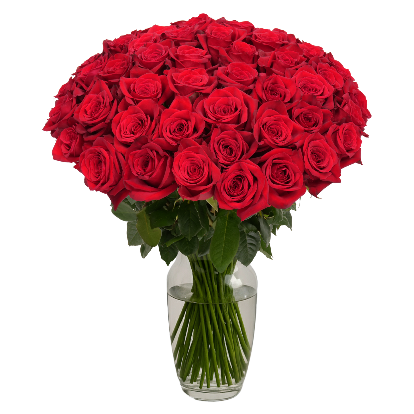 Red Roses        -50 Stems