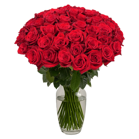 Red Roses        -50 Stems