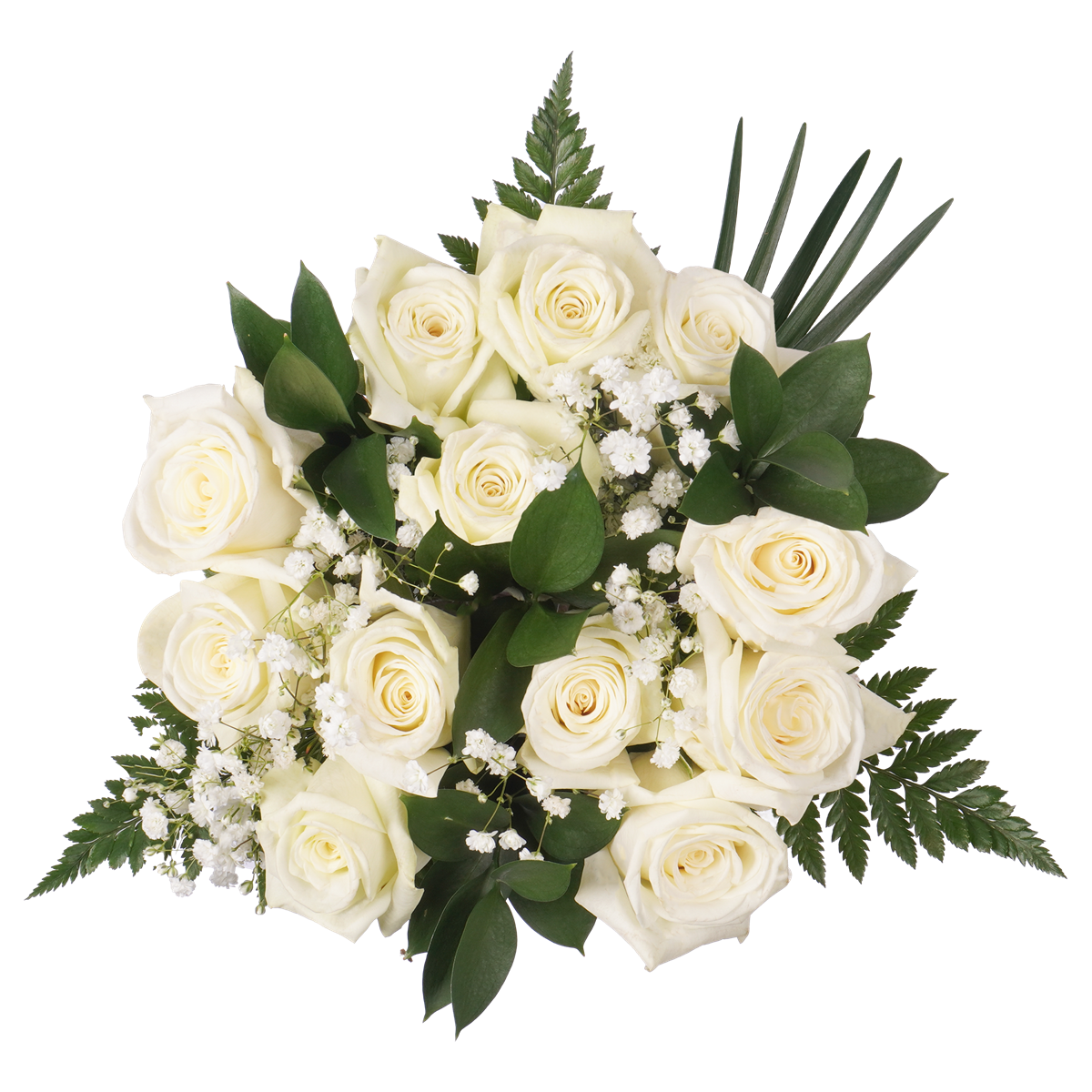 White Roses & Gypsophila