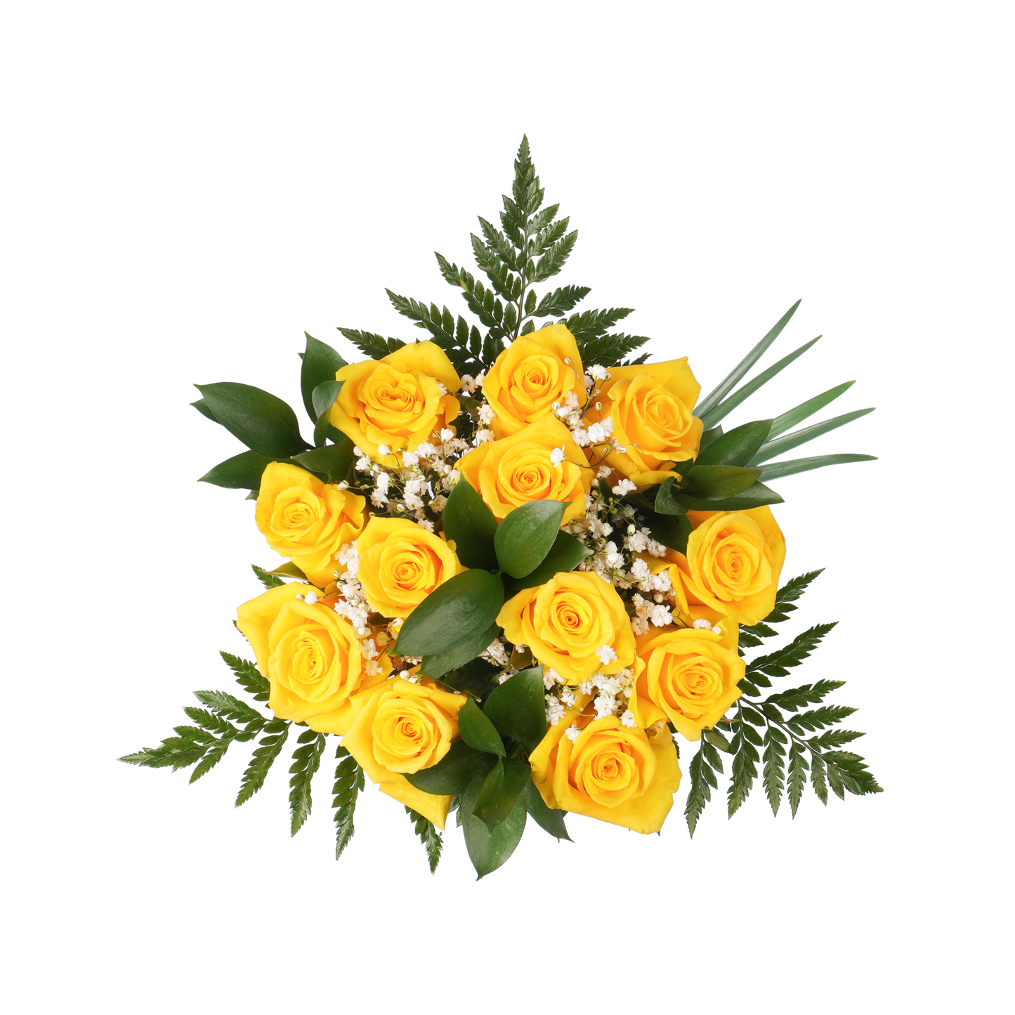 Yellow Roses & Gypsophila
