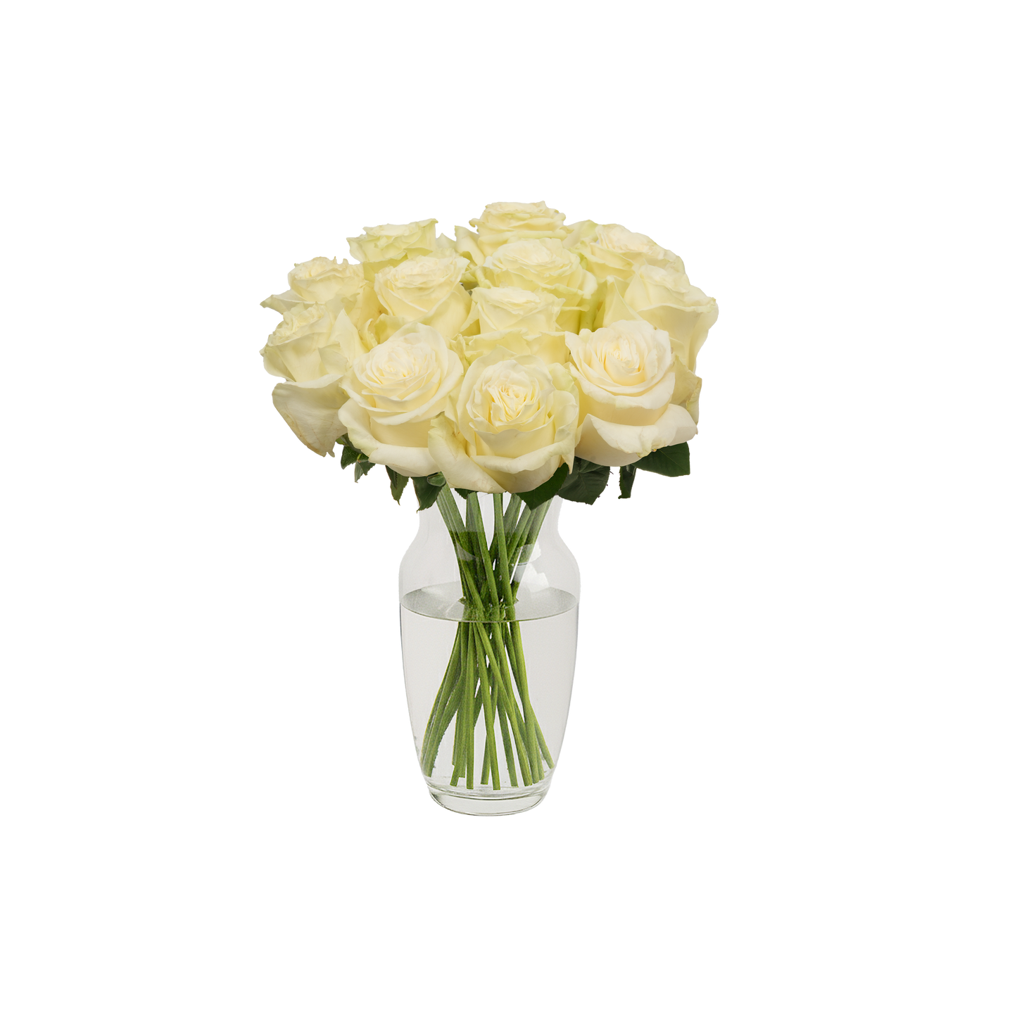White Roses - 12 Stems
