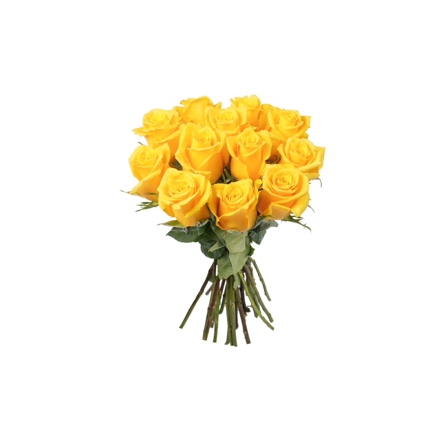 Yellow Classic Roses - 12 Stems