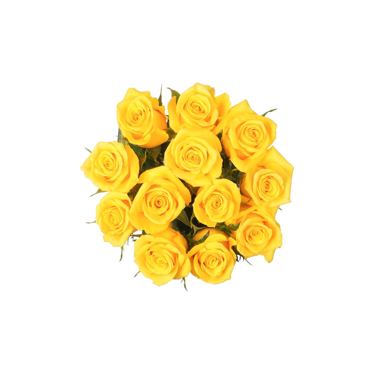 Yellow Classic Roses - 12 Stems