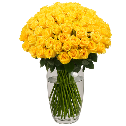 Yellow Roses - 100 Stems