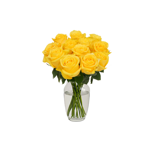 Yellow Roses - 12 Stems