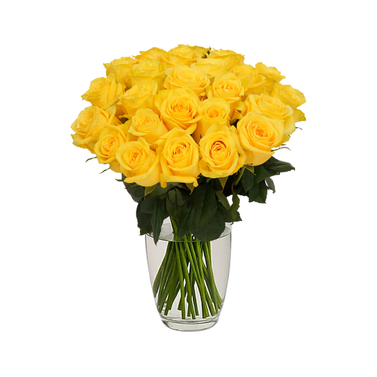 Yellow Roses - 24 Stems