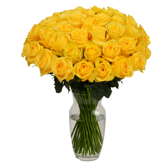 Yellow Roses - 50 Stems