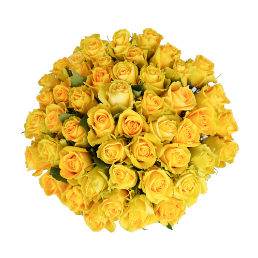 Yellow Classic Roses - 50 Stems