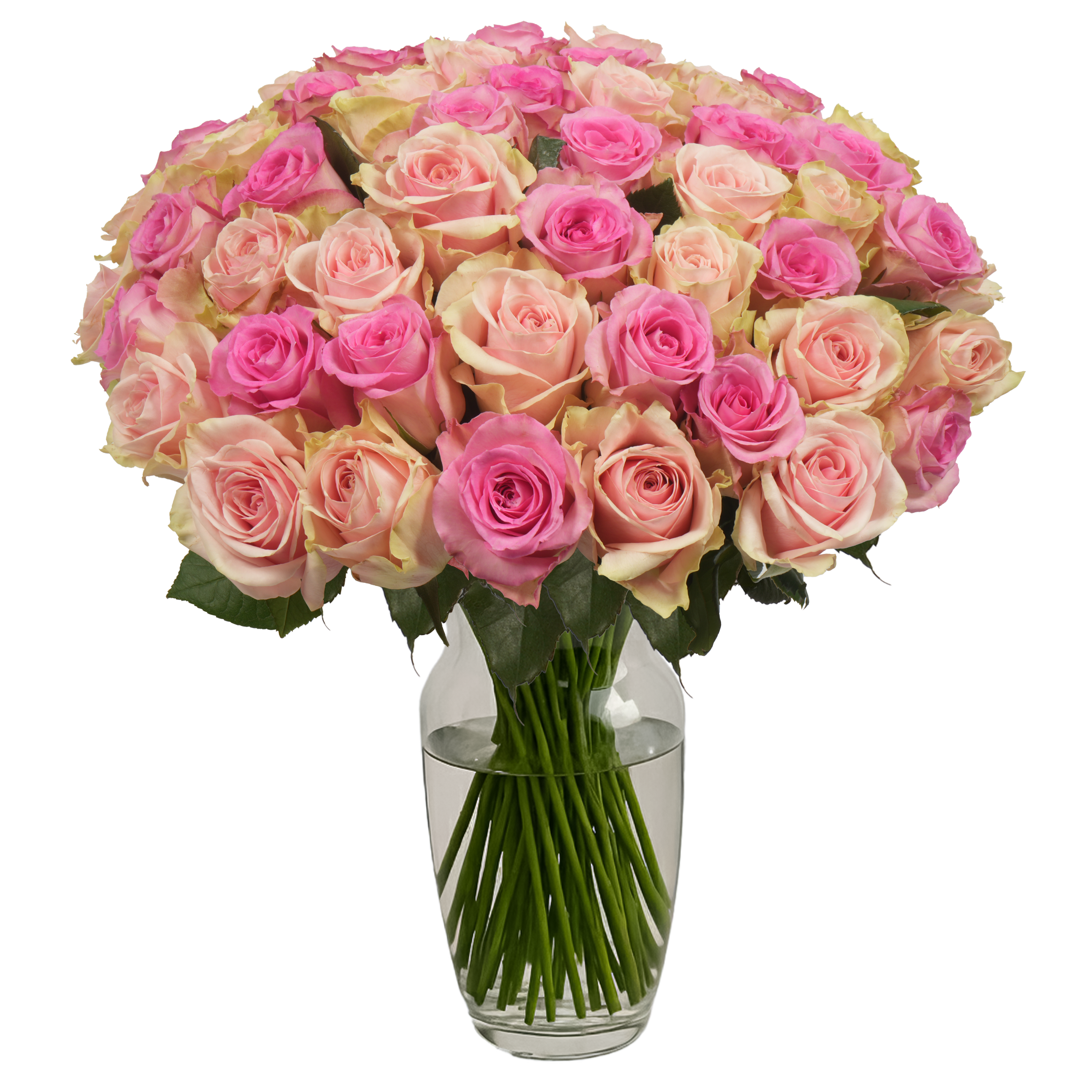Grace – Passion Roses