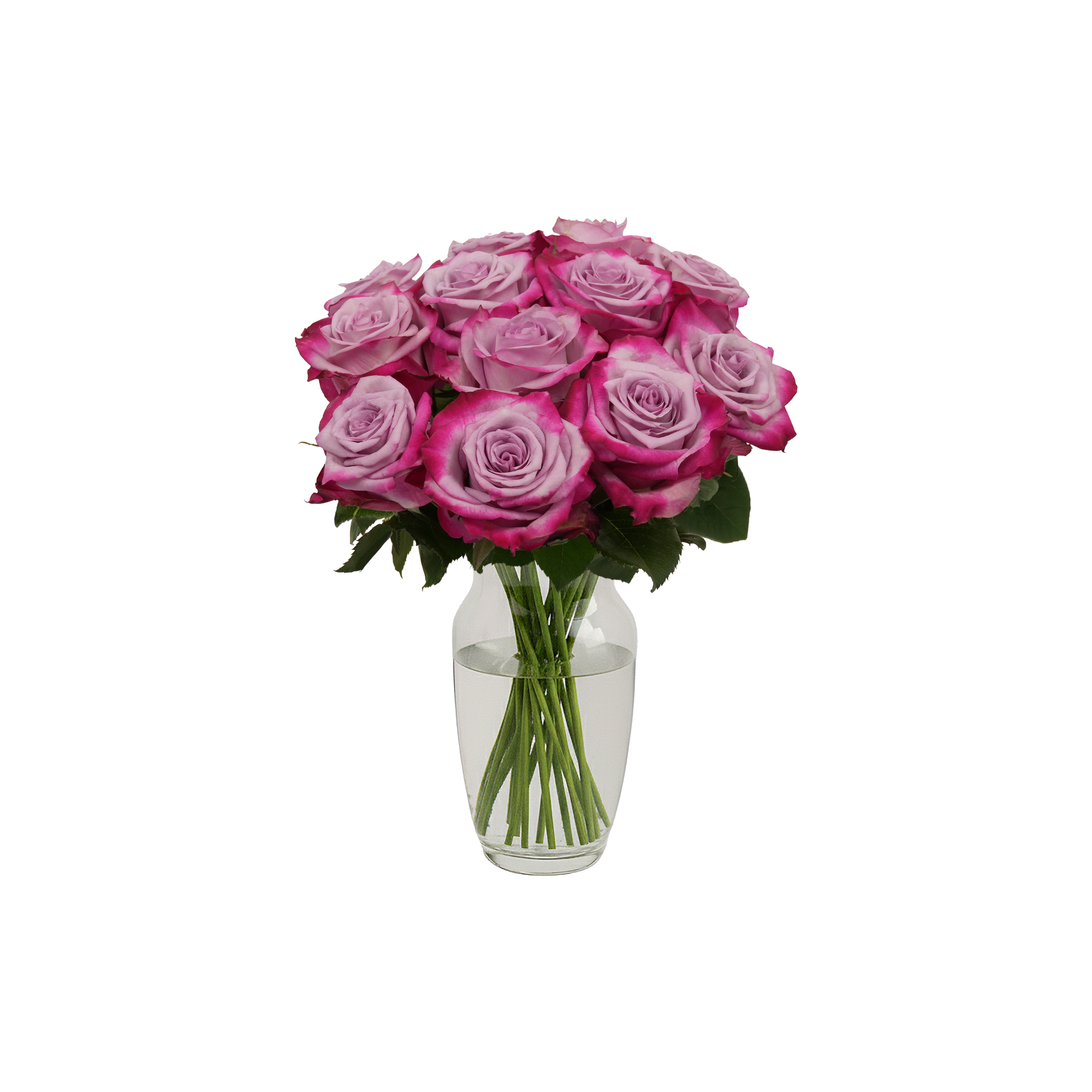 Lavender Roses - 12 Stems – Passion Roses