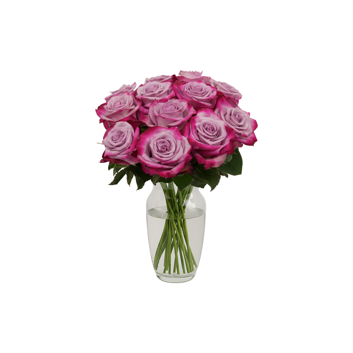 Lavender Roses - 12 Stems