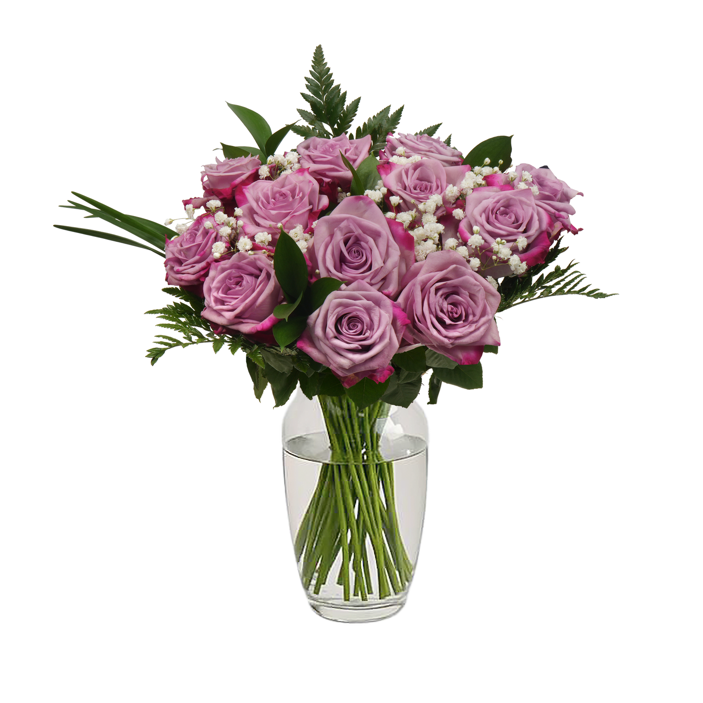 Lavender Roses & Gypsophila