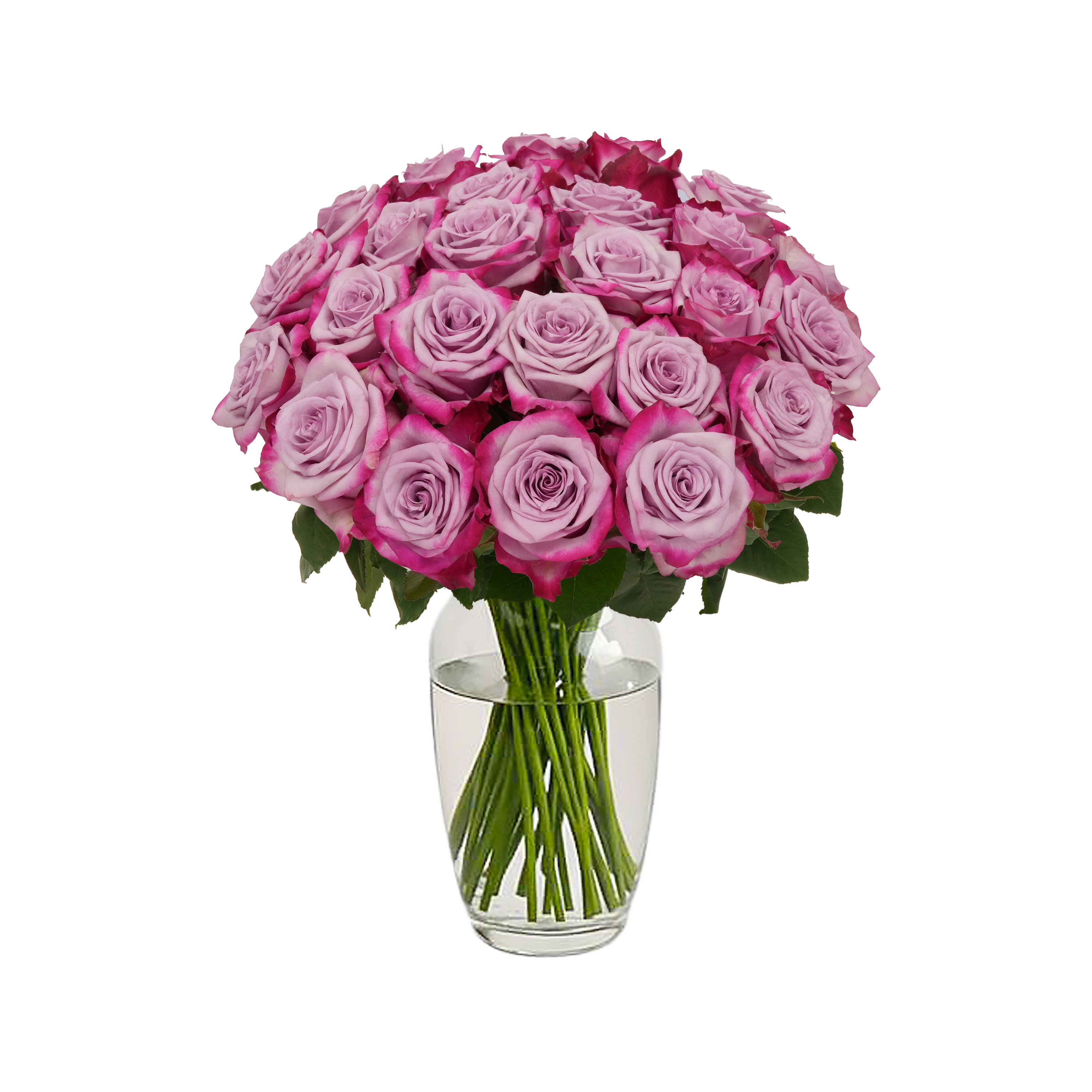 Lavender Roses - 24 Stems – Passion Roses
