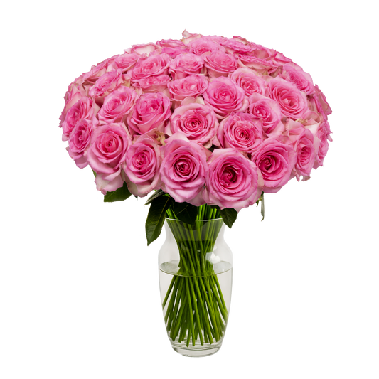 Pink Roses - 50 Stems