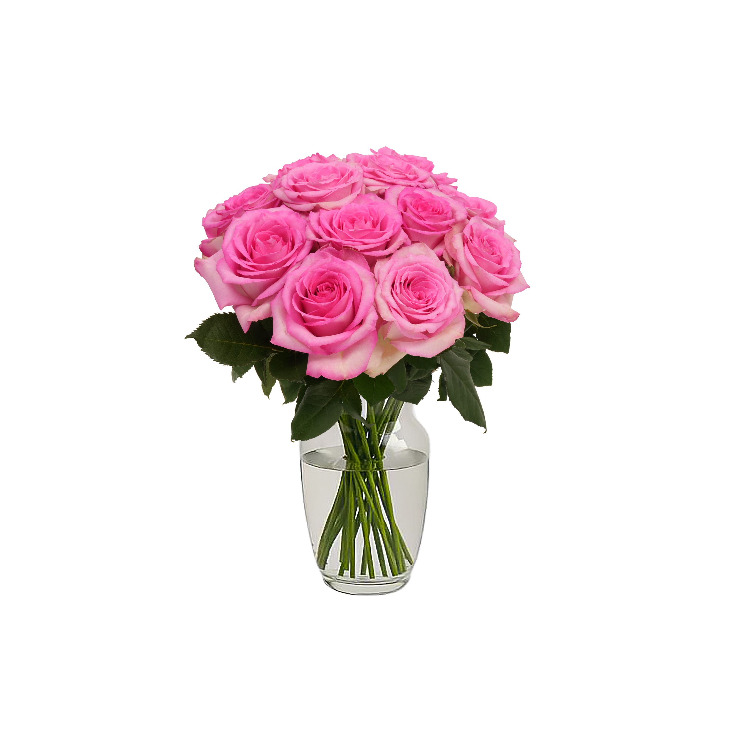 Pink Roses - 12 Stems – Passion Roses