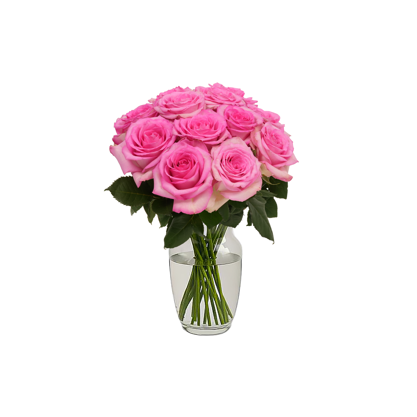 Pink Roses - 12 Stems