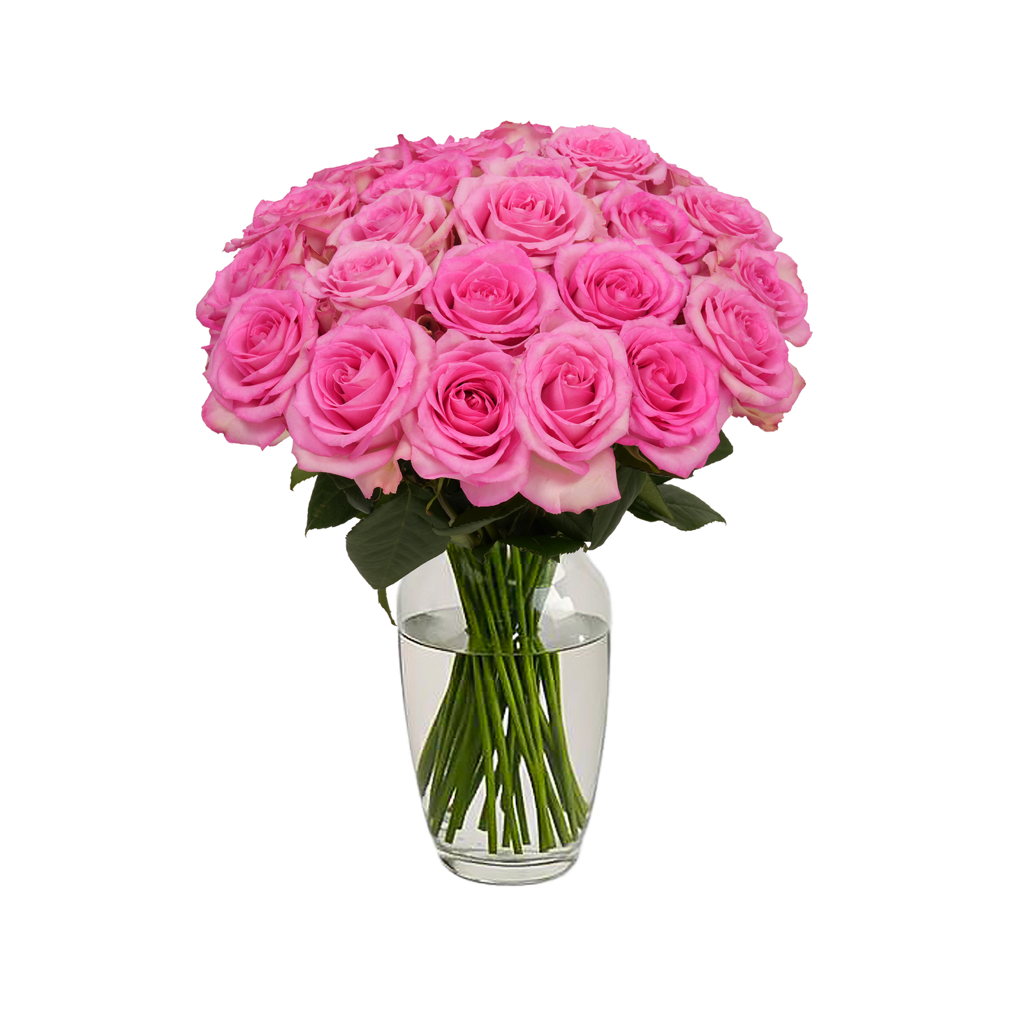 Pink Roses - 24 Stems