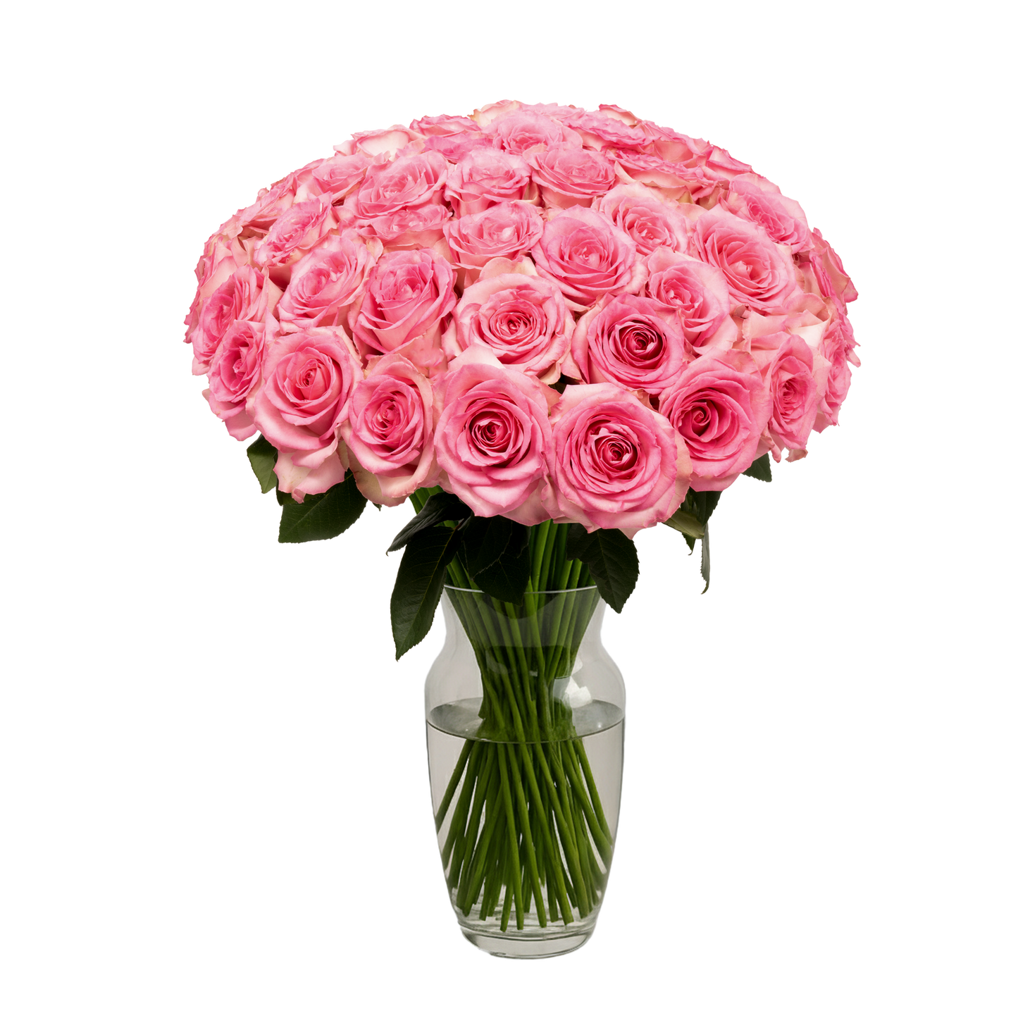 Pink Roses - 50 Stems
