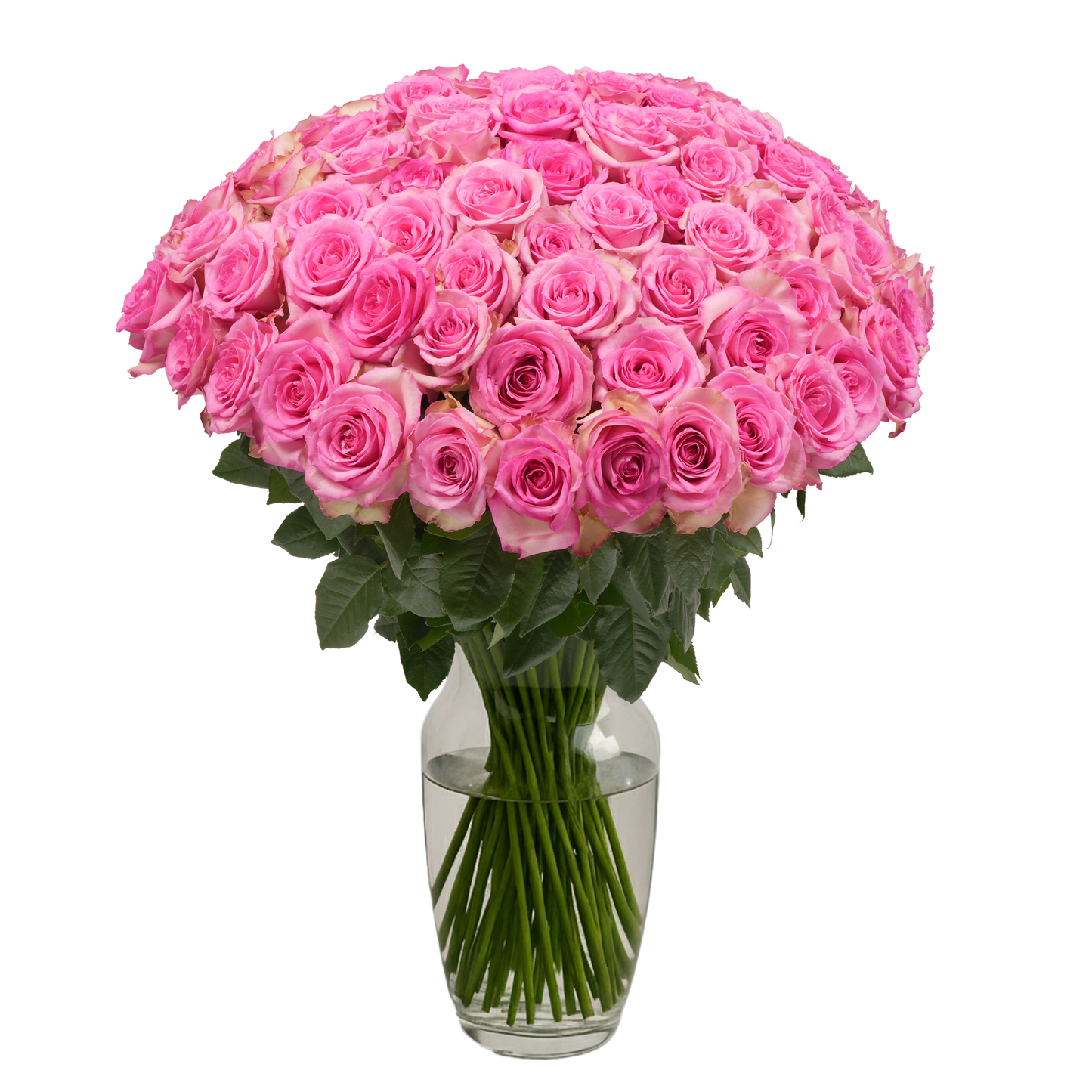 Pink Roses - 100 Stems