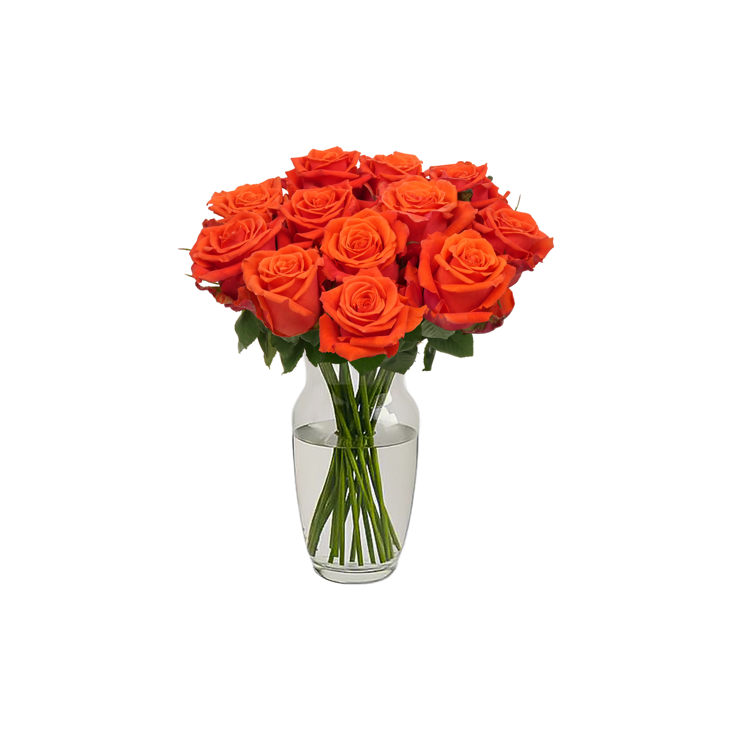 Orange Roses - 12 Stems