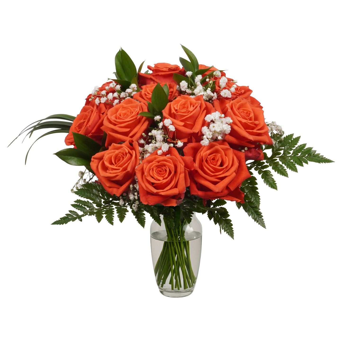 Orange Roses & Gypsophila