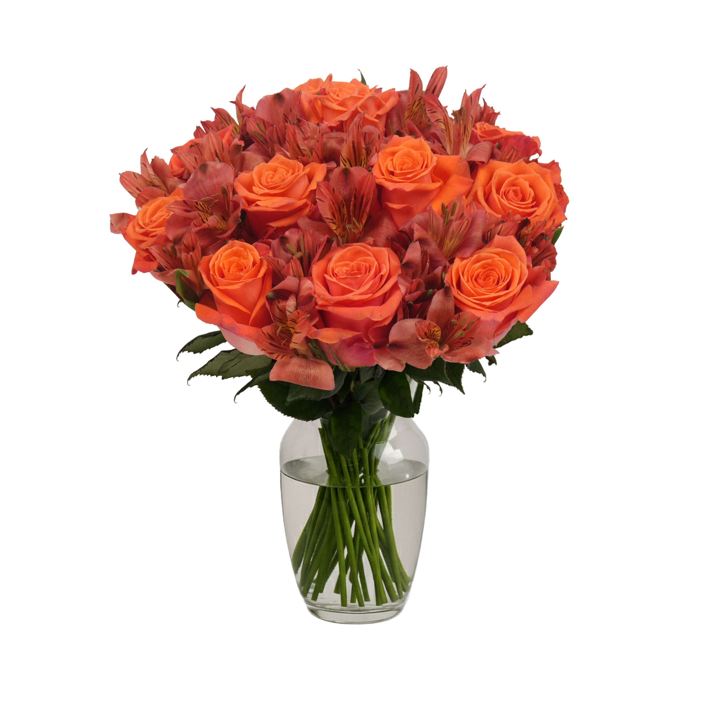 Orange Roses & Alstroemeria – Passion Roses