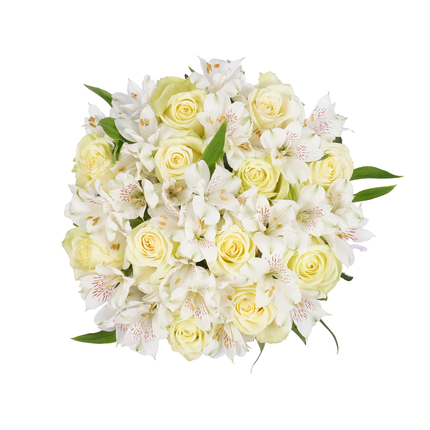 White Roses & Alstroemeria