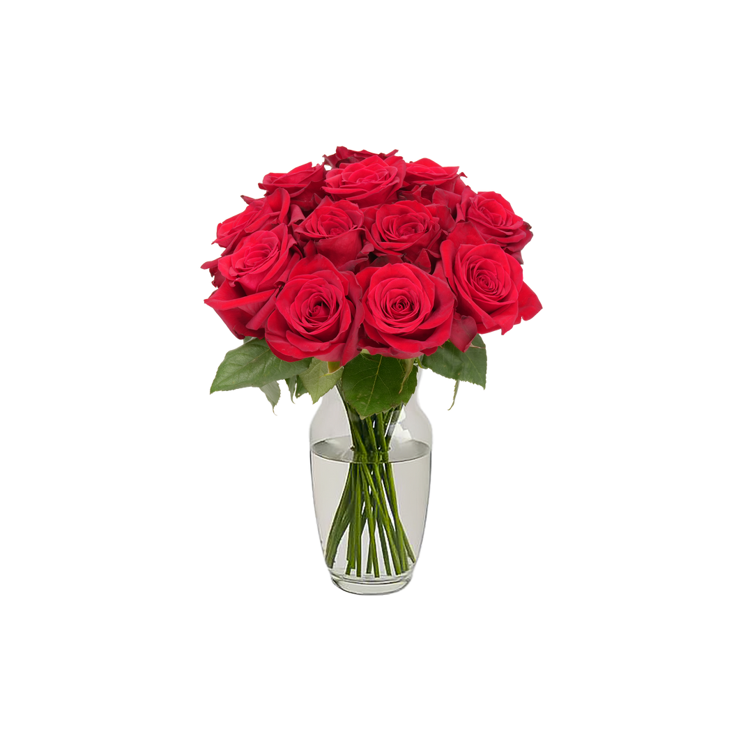 Red Classic Roses – Passion Roses