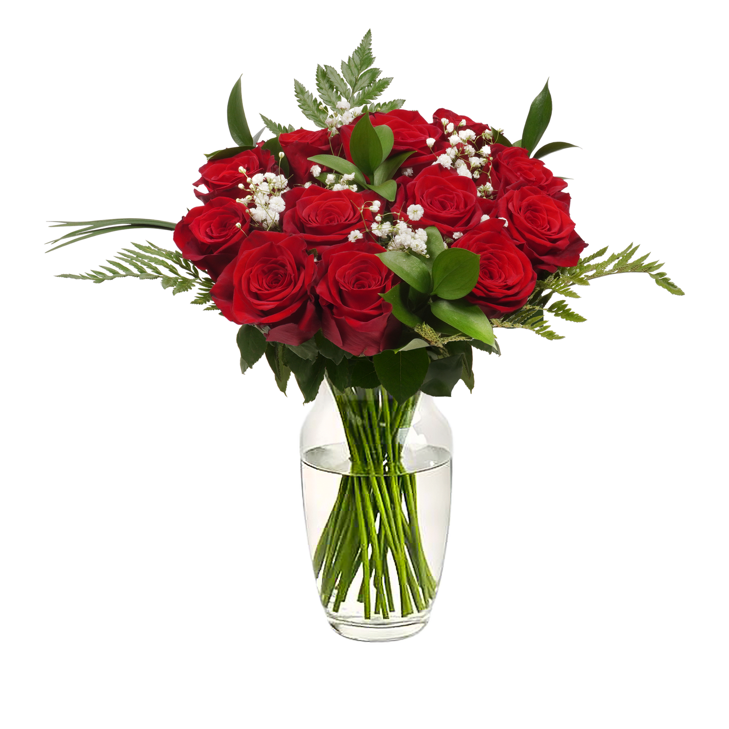 Red Roses & Gypsophila