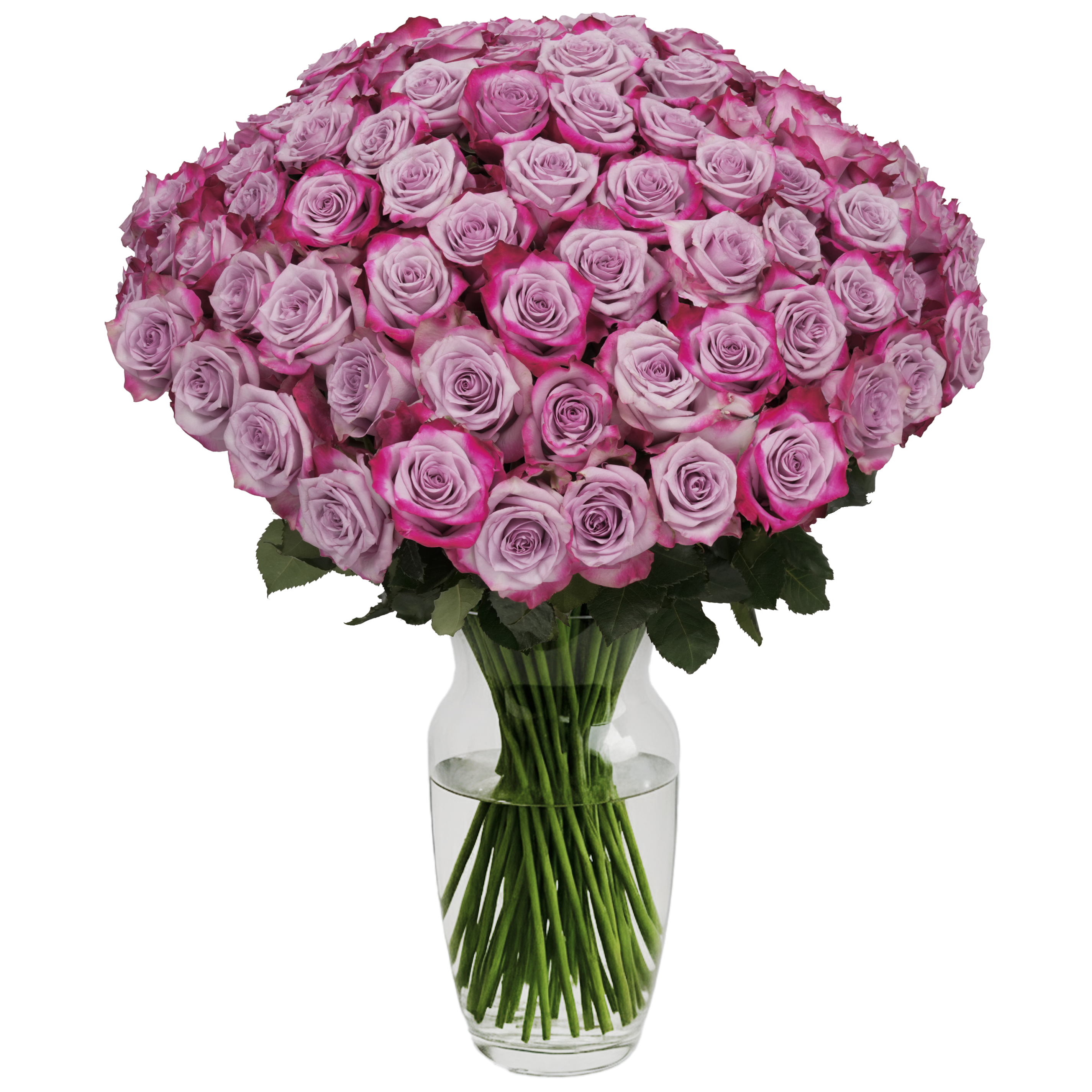 100 Stems Roses Lavender Roses - 100 Stems – Passion Roses