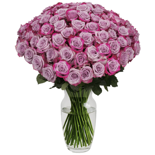 Lavender Roses - 100 Stems
