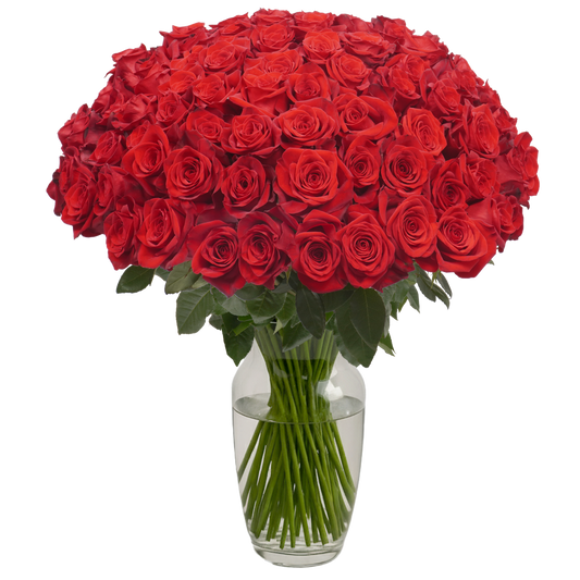 Red Roses Basic Red Classic Roses – Passion Roses