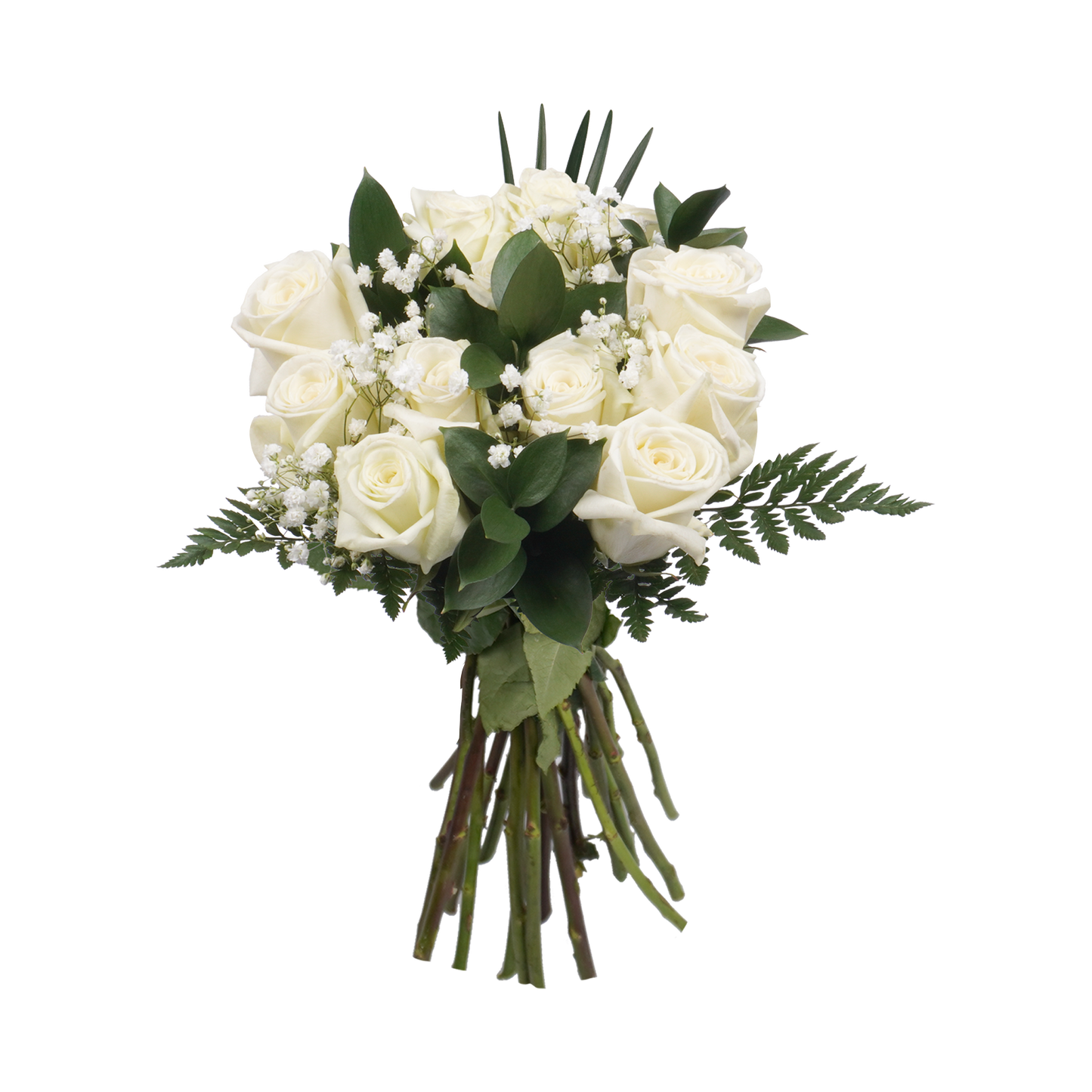 White Roses & Gypsophila