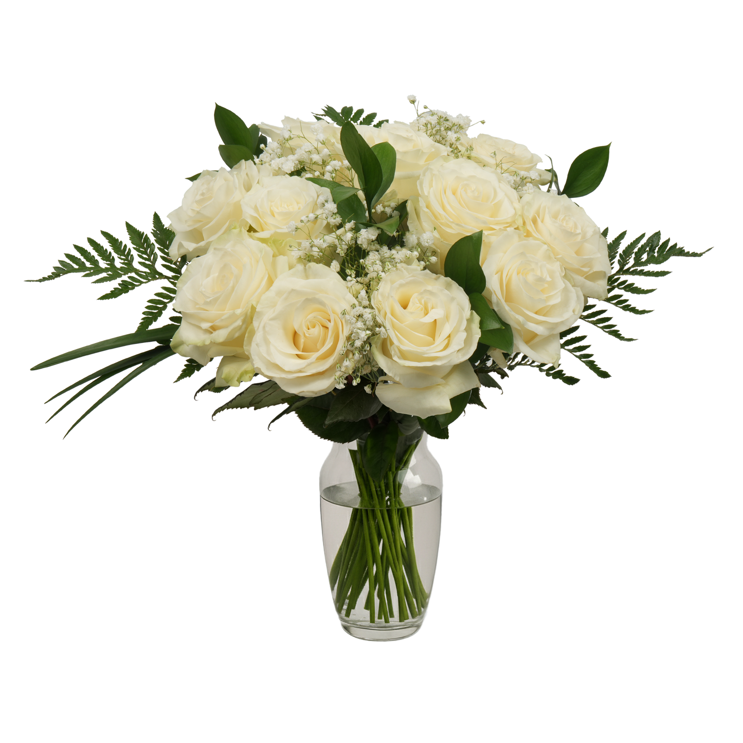 White Roses & Gypsophila