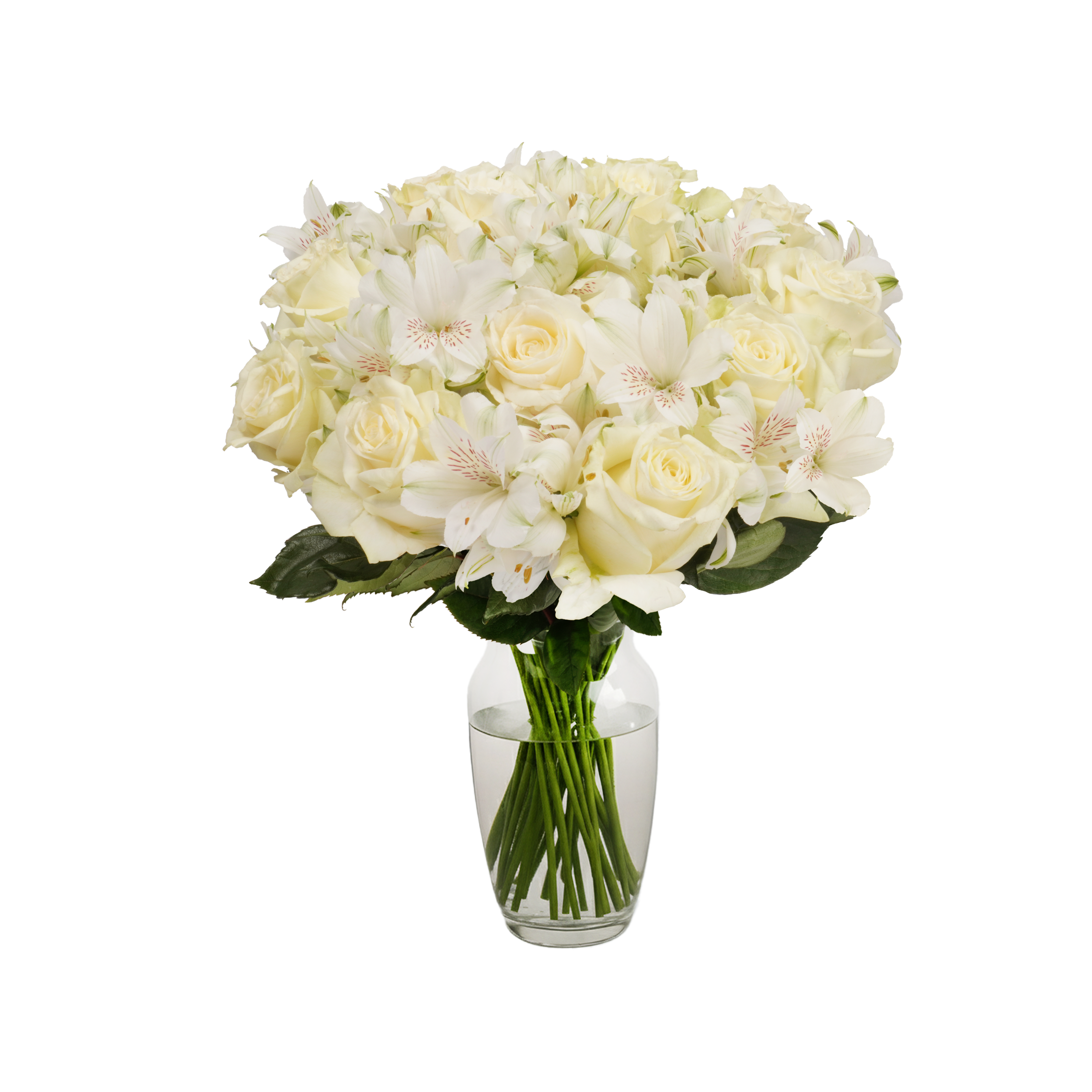 White Roses & Alstroemeria – Passion Roses