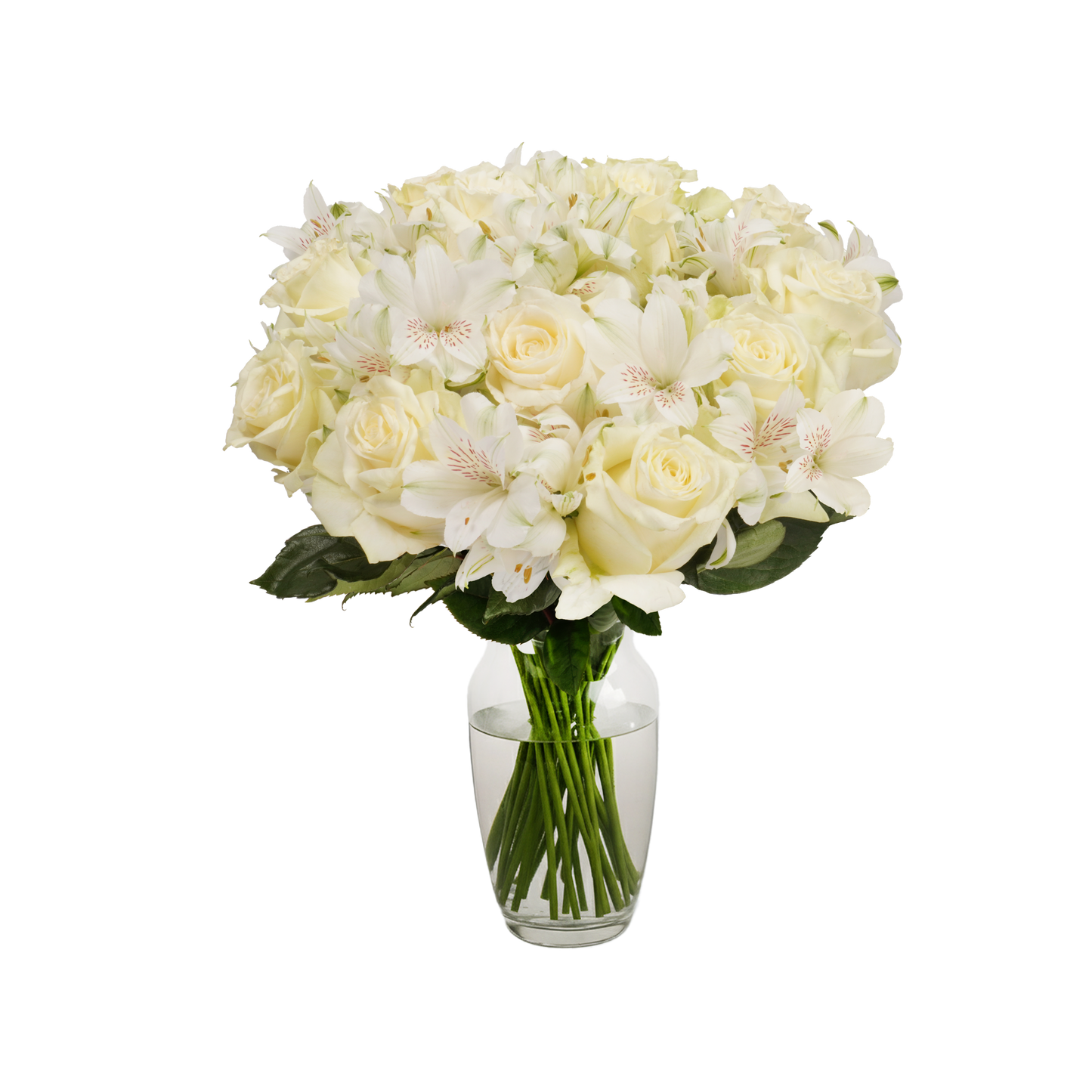 White Roses & Alstroemeria